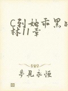 C到她乖黑暗森林11章封面