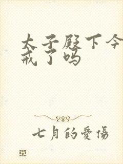 太子殿下今天破戒了吗封面