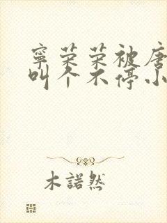 宁荣荣被唐三桶叫个不停小说