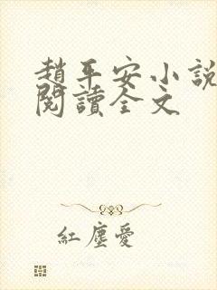 赵平安小说免费阅读全文封面