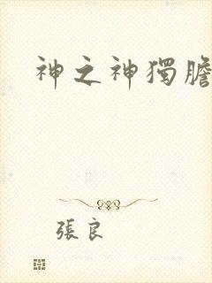 神之神独胆王封面