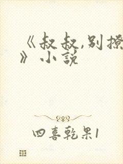 《叔叔,别撩我》小说