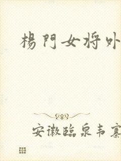杨门女将外传