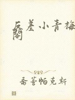 反差小青梅笔趣阁