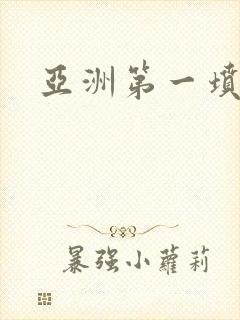 亚洲第一坟封面