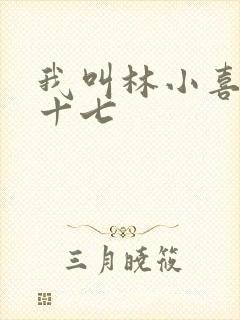 我叫林小喜今年十七