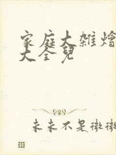 家庭大杂烩小说大全儿封面