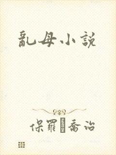 乱母小说