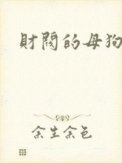 财阀的母狗们