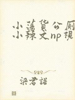 小荡货公厕h文小辣文np视频封面