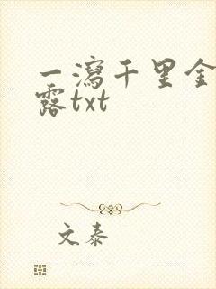 一泻千里金银花露txt封面