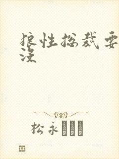 狼性总裁要够了没