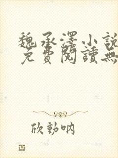 魏承泽小说全文免费阅读无弹窗笔趣