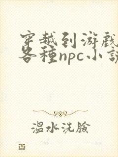 穿越到游戏里和各种npc小说