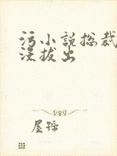 污小说总裁整夜没拔出