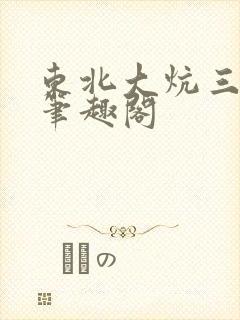 东北大炕三部曲笔趣阁封面