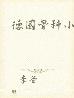 德国骨科小说封面