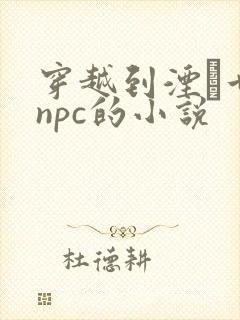 穿越到湮婸世界npc的小说