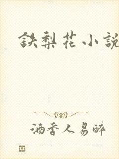 铁梨花小说