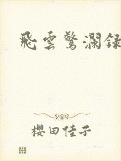 飞云惊澜录封面