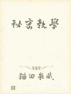 秘密教学