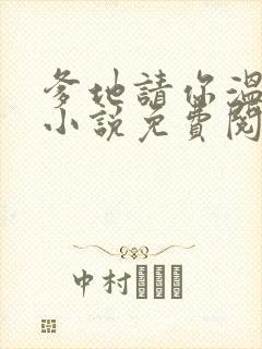 爹地请你温柔点小说免费阅读