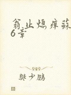 翁止熄痒苏玥第6章