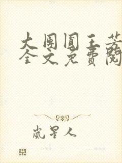 大团圆王芳高敏全文免费阅读封面