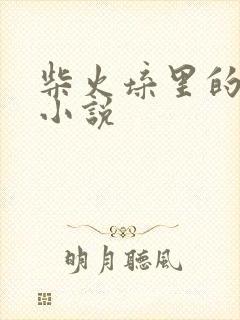 柴火垛里的疯狂小说封面