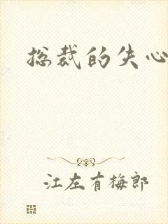 总裁的失心新娘封面