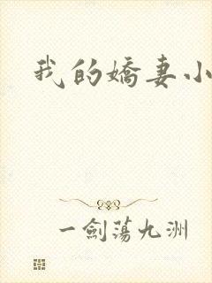 我的娇妻小说