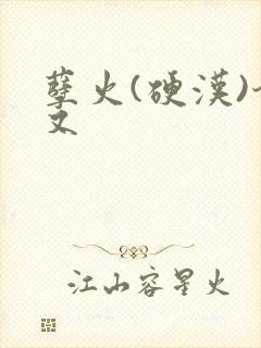 孽火(硬汉)今又