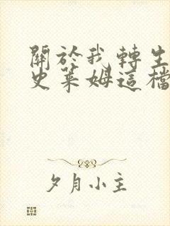 关于我转生变成史莱姆这档事小说