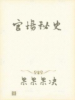 官场秘史
