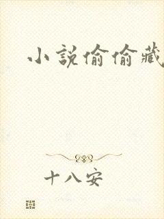 小说偷偷藏不住