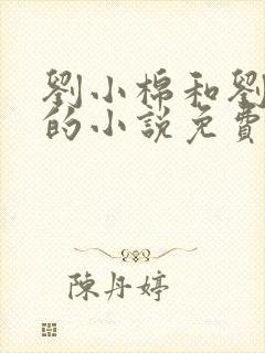 刘小棉和刘易文的小说免费阅读