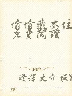 偷偷藏不住小说免费阅读