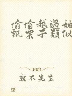 偷偷越过她by甄栗子类似小说