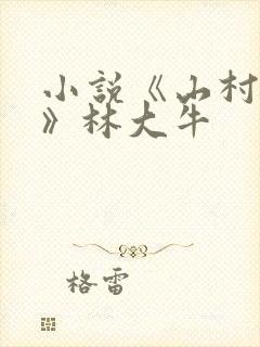 小说《山村情事》林大牛封面