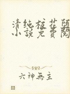 清纯校花堕落记小说免费阅读