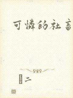 可怜的社畜分手