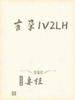 有孕1V2LH