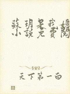 苏玥是我媳妇的小说免费阅读全文