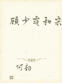 顾少霆和宋斯曼