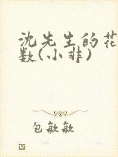 沈先生的花式调数(小非)