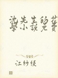 沈先生的花式教学小说免费