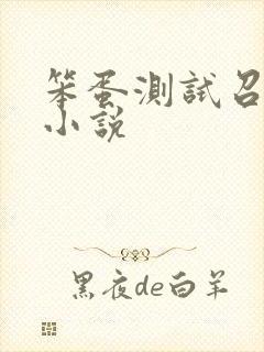 笨蛋测试召唤兽小说