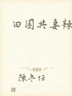 田园共妻辣