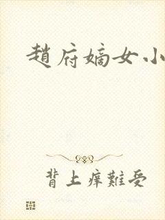 赵府嫡女小说封面