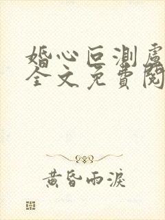 婚心叵测卢丹妮全文免费阅读小说封面